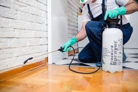 Best Pest Control for Multi-Family Homes  in Paintsville, KY